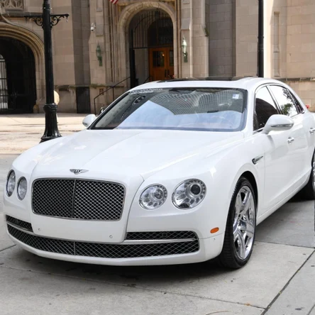 BENTLEY FLAYING SPUR